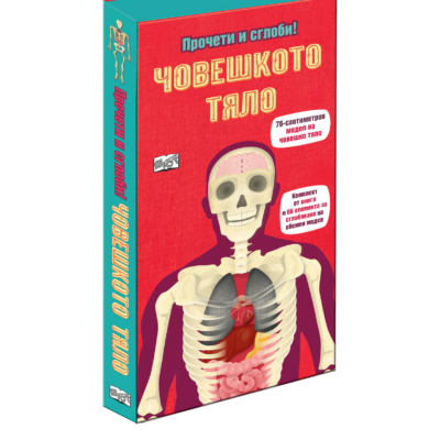 Човешкото тяло – Прочети и сглоби обемен пъзел! 96 сантиметра